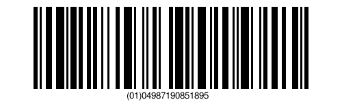 04987190851895