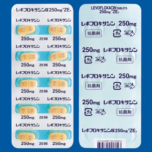 48.0×111.0㎜ （横×縦）